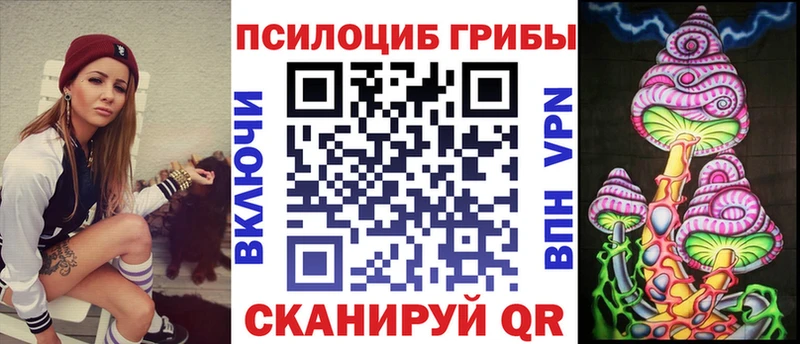 купить наркоту  Новошахтинск  Псилоцибиновые грибы GOLDEN TEACHER 