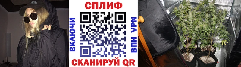 сколько стоит  Новошахтинск  Каннабис план 